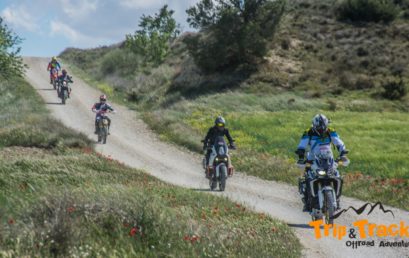 MONEGROS TRAIL OFFROAD MARZO